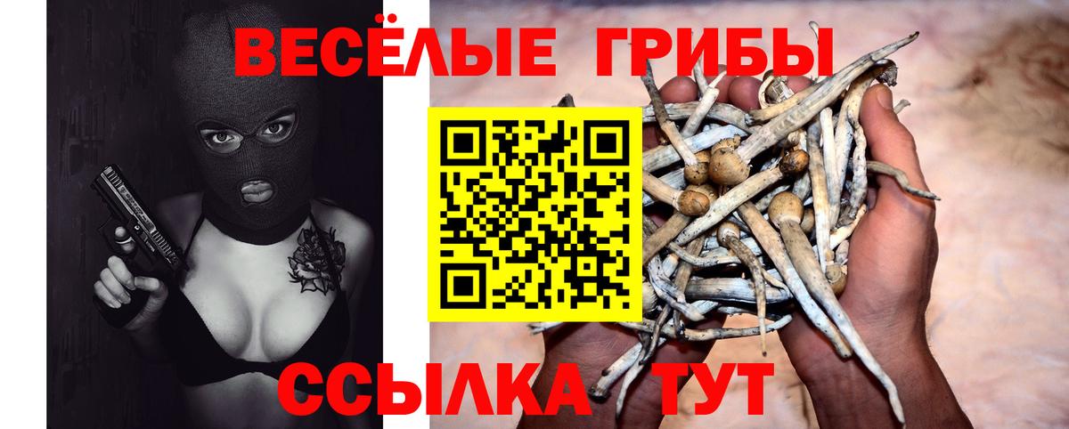 Псилоцибиновые грибы ЛСД  наркотики  Ликино-Дулёво  Вход с VPN  Галлюциногенные грибы Psilocybine cubensis 